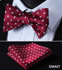 Polka Dot Men Bow Tie Set