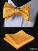 Polka Dot Men Bow Tie Set