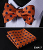 Polka Dot Men Bow Tie Set