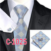 20 Style Mens Tie Set Fashion Plaid Silk Neck Tie Hanky Cuff links for Business Wedding Suit Jacquard Woven Ties for Men