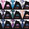 Silk Neck Tie Set