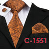 Silk Neck Tie Set