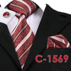 Silk Neck Tie Set