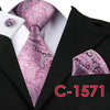 Silk Neck Tie Set